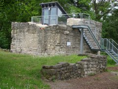 burg11-05-15-07.jpg