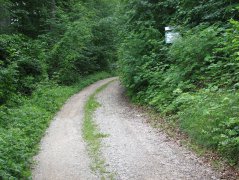 Maiweg_04.jpg